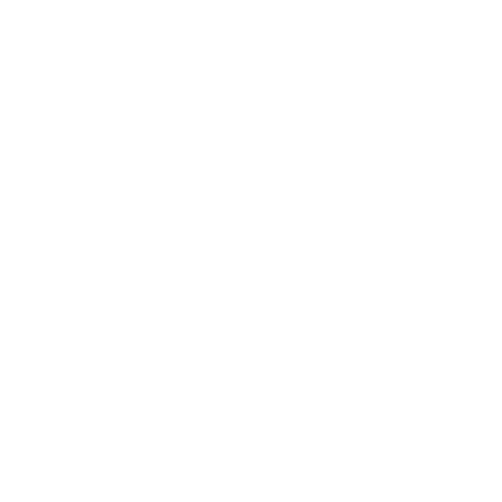 City Cycle