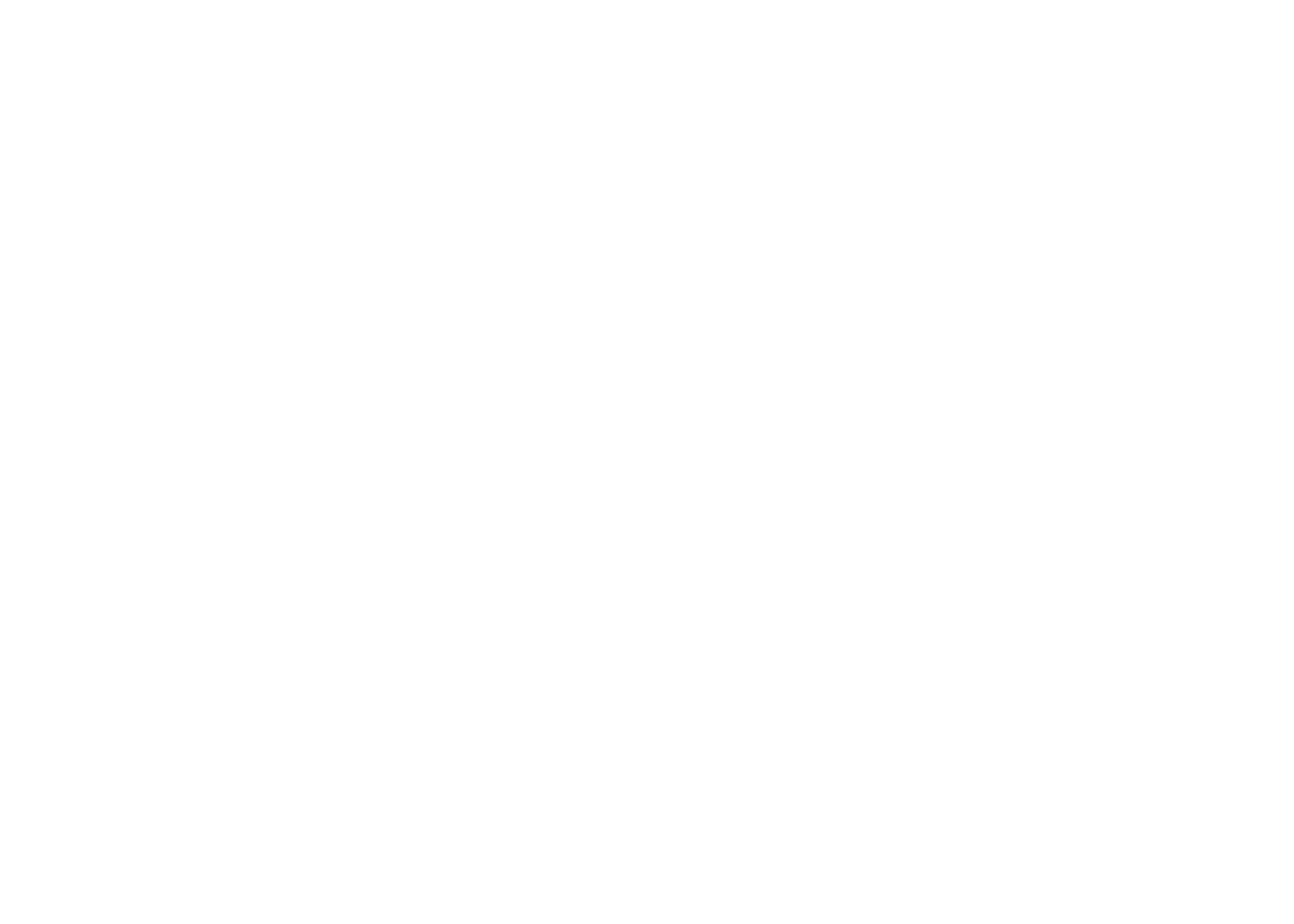 Vinyl Record
