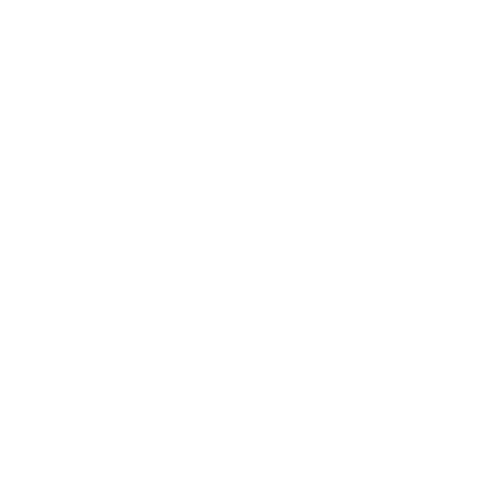 Vinyl Record