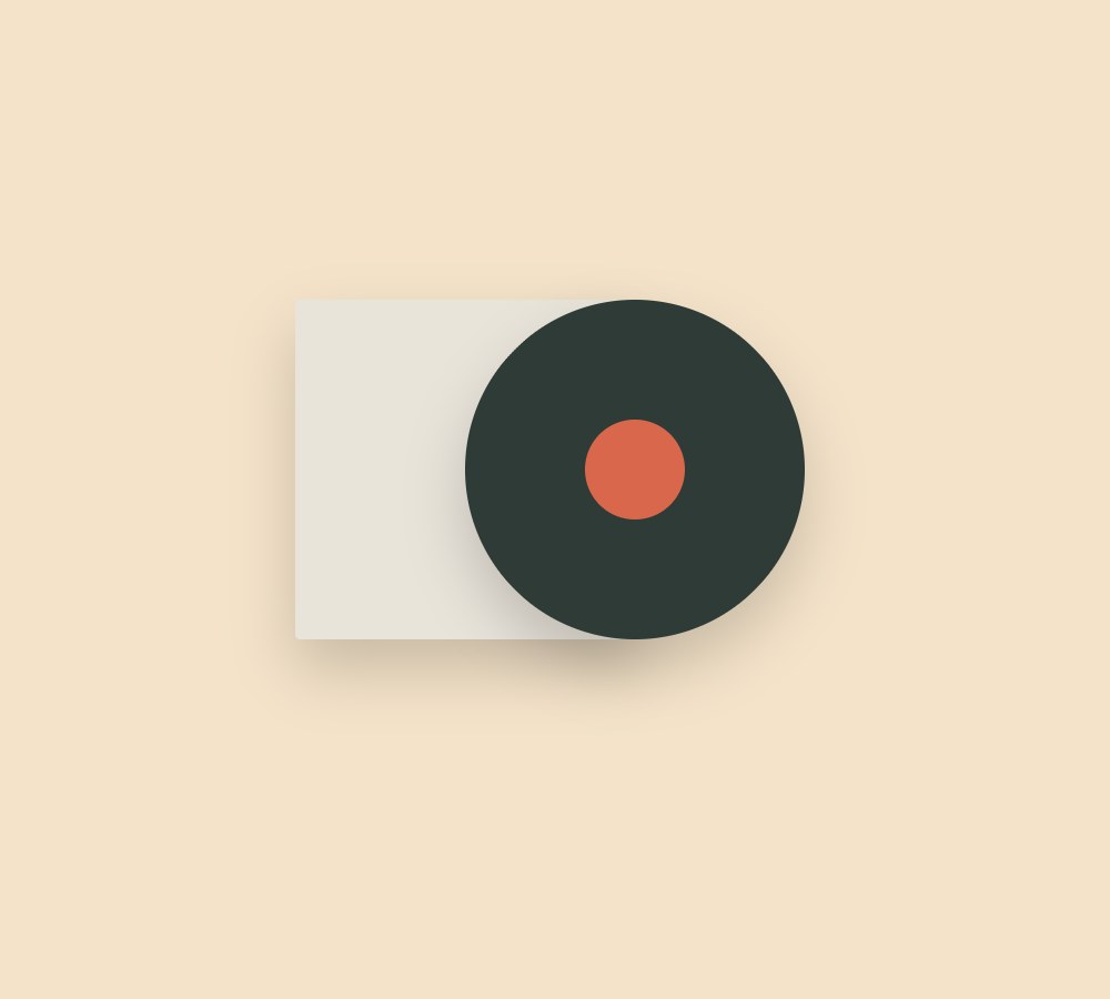 Vinyl Record
